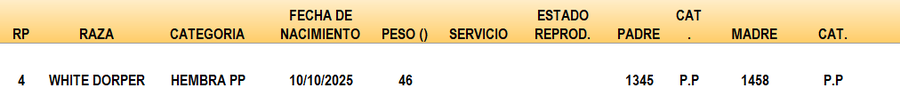 Lote LOTE 28