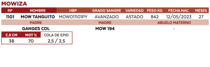 Lote LOTE 63