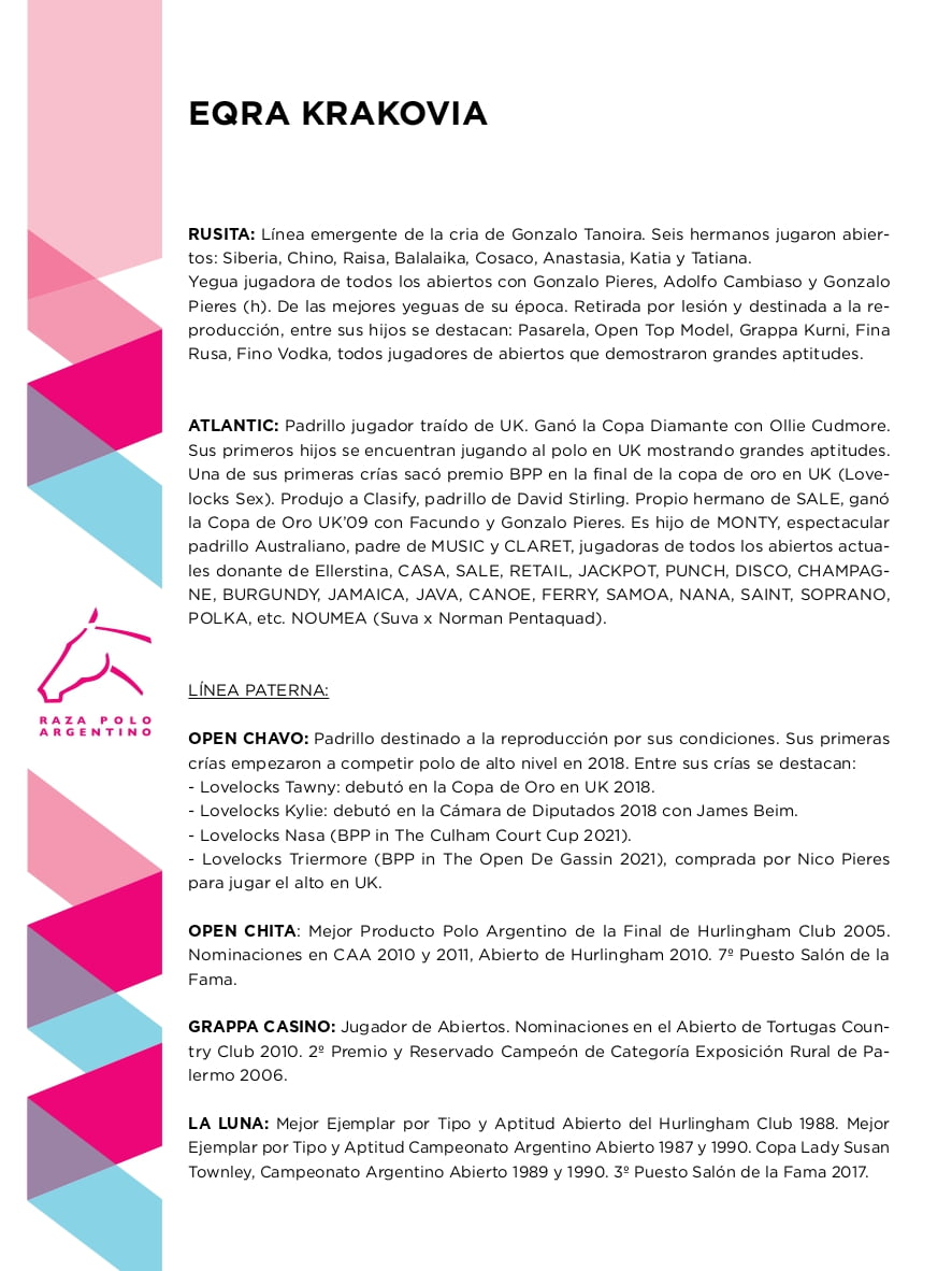 Lote EQRA KRAKOVIA (OPEN CHAVO -  LOVELOCKS SHARAPOVA)