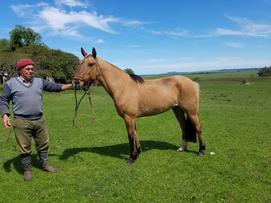 Lote Cabaña "El Mojón" - RP 551 - Bárbara El Mojón