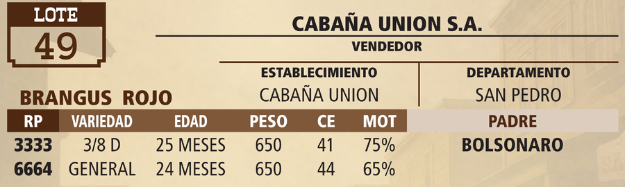 Lote LOTE 49 - PANTALLA