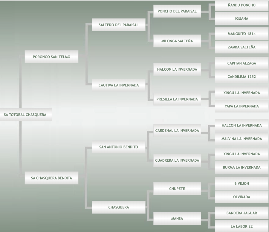 Lote SA Totoral Chasquera
