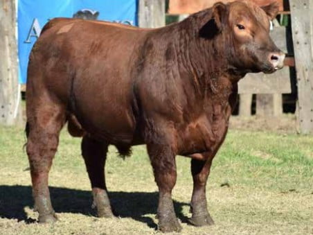 Lote CABAÑA "COEMBOTA" DE CALDERÓN RP 158