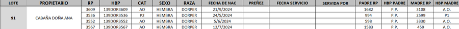 Lote LOTE 91