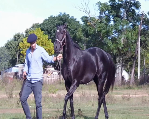 Lote RCH LAKE MR JESS