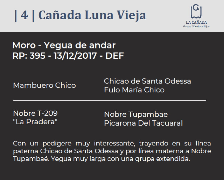 Lote Cañada Luna Vieja (RP 395) Cabaña "La Cañada"