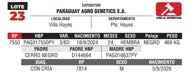 Lote LOTE 23 - DE CAMPO