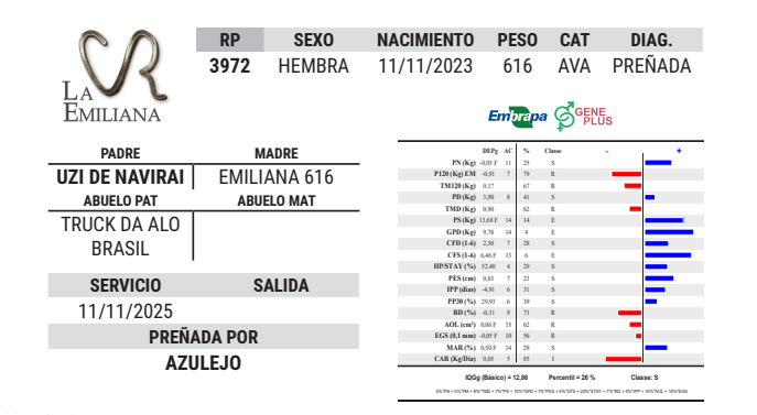 Lote LOTE 21