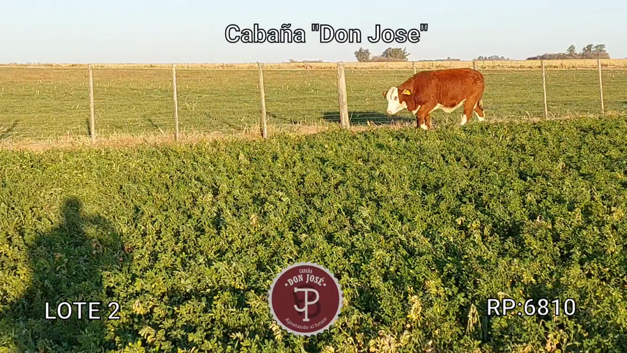 Lote CABAÑA DON JOSE