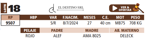 Lote LOTE 18