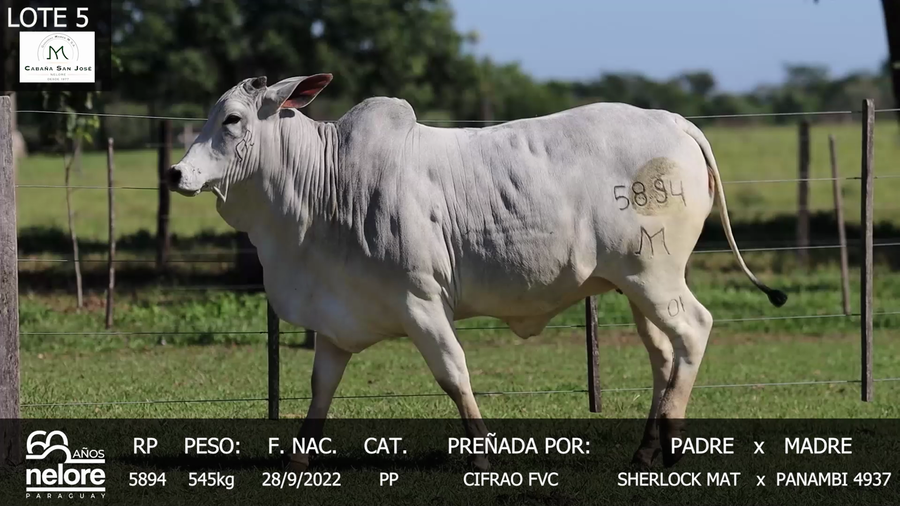 Lote LOTE 5
