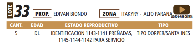 Lote LOTE 33 -POR PANTALLA