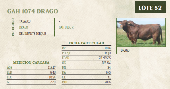 Lote LOTE 52