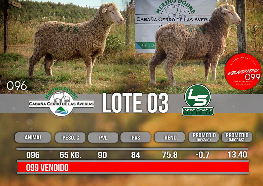 Lote LOTE 3