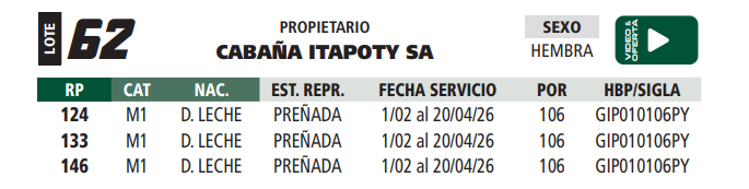 Lote LOTE 62