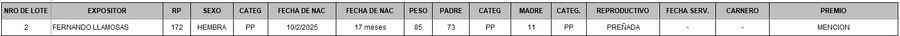 Lote LOTE 2 - BOZAL