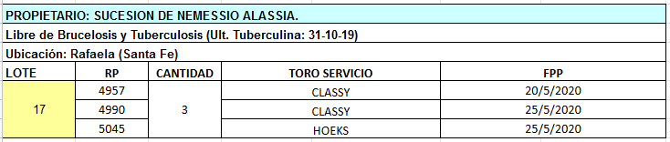 Lote 3 Vaquillonas en Rafaela, Santa Fe