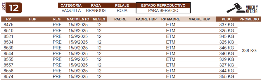 Lote LOTE 12
