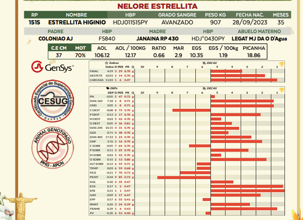Lote LOTE 67
