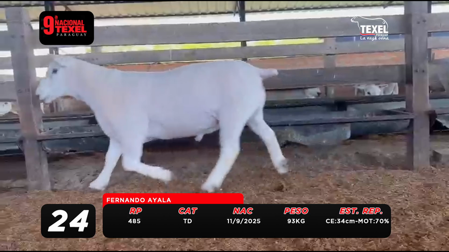 Lote LOTE 24