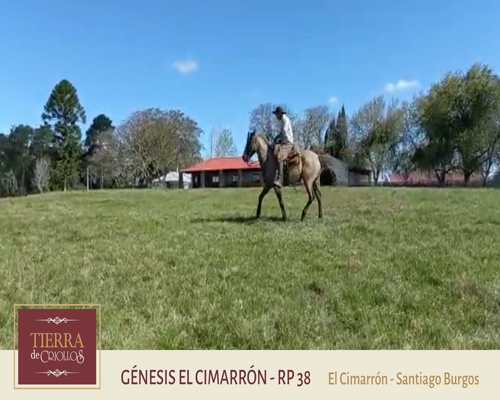 Lote Genésis (RP 38) - Cabaña El Cimarrón