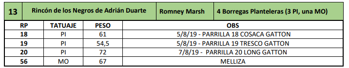 Lote 4 Borregas Planteleras (3 PI, una MO)