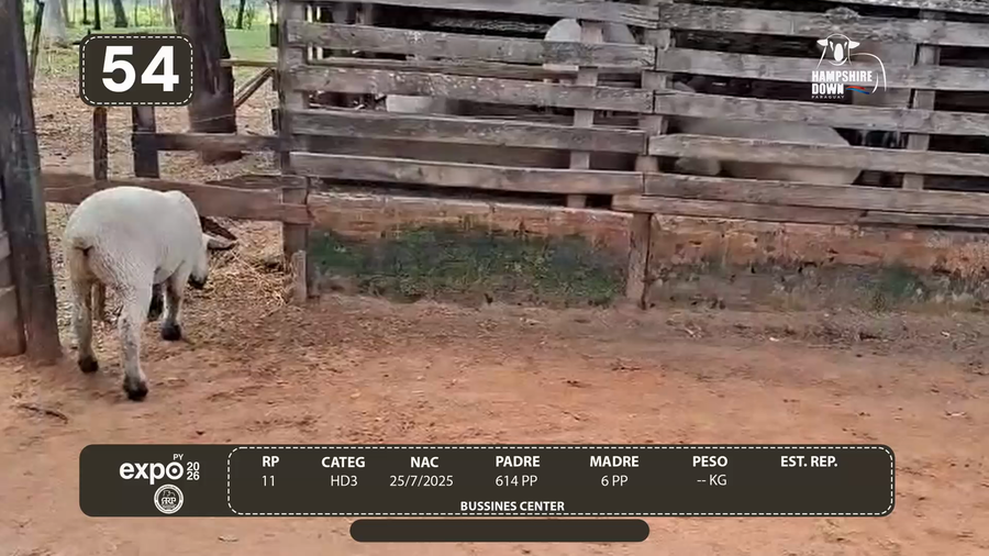 Lote LOTE 54 - CAMPO