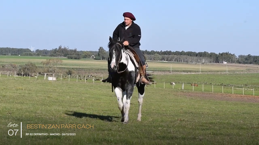 Lote BESTIN ZAN PARR CACH
