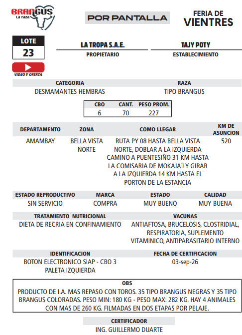 Lote LOTE 23 - POR PANTALLA
