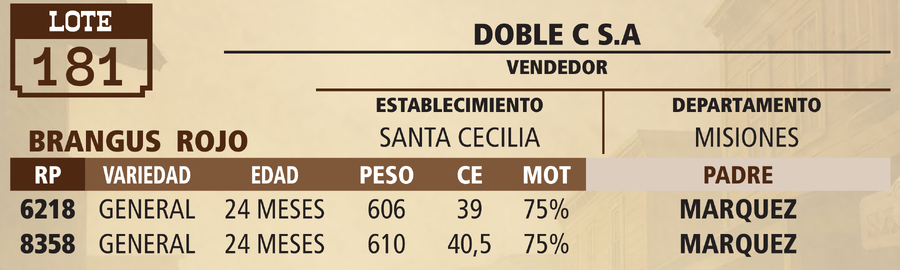 Lote LOTE 181 - VIVO