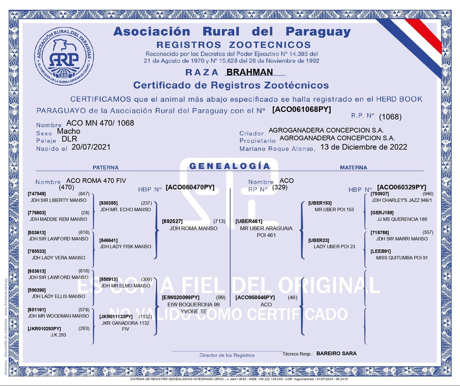 Lote AGROGANADERA CONCEPCION SA