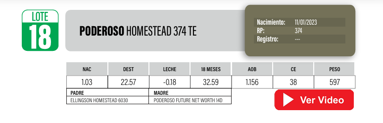 Lote Toros PI / PO / PC Angus a remate en Cabaña La Poderosa, Florida