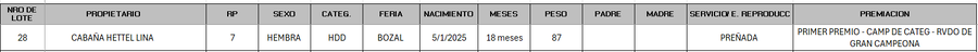 Lote LOTE 28 - BOZAL