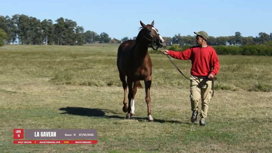 Lote LA GAVEAN