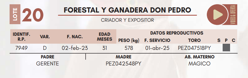 Lote LOTE 20 HEMBRAS DE CAMPO