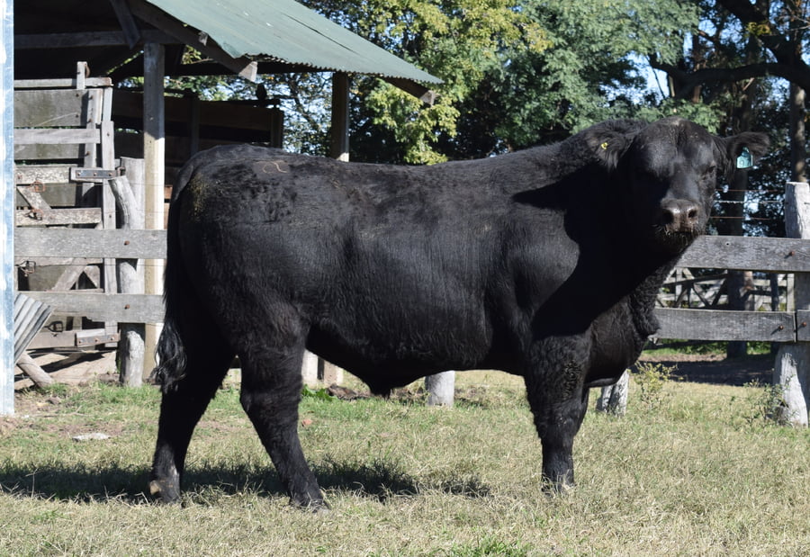 Lote CABAÑA “COEMBOTÁ” de Calderón RP 097