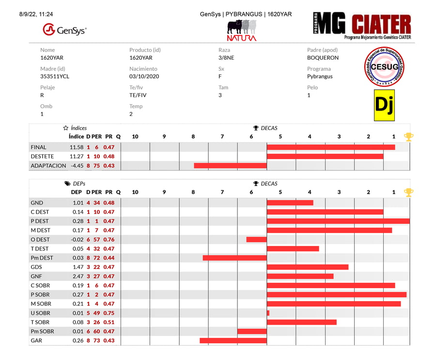 Lote LOTE 10 - DUO