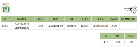 Lote LOTE 19