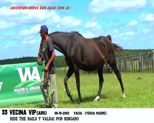 Lote VECINA VIP (ARG)