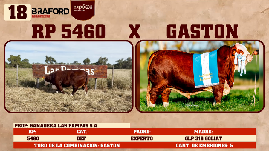 Lote LOTE 18