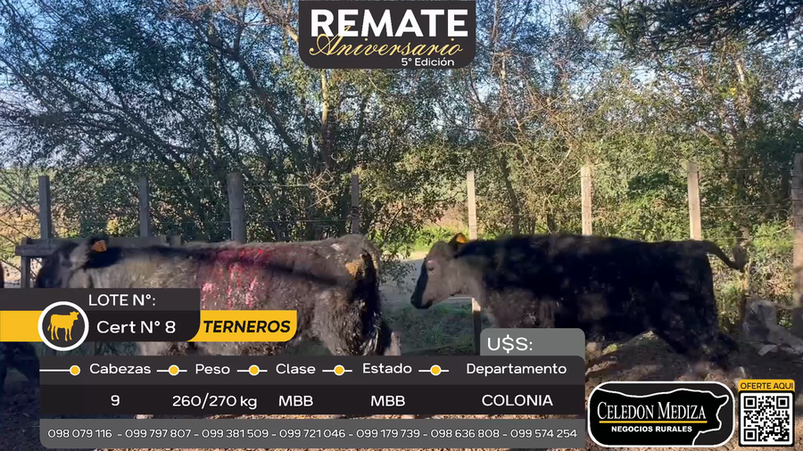 Lote 8 Terneros en Tarariras, Colonia