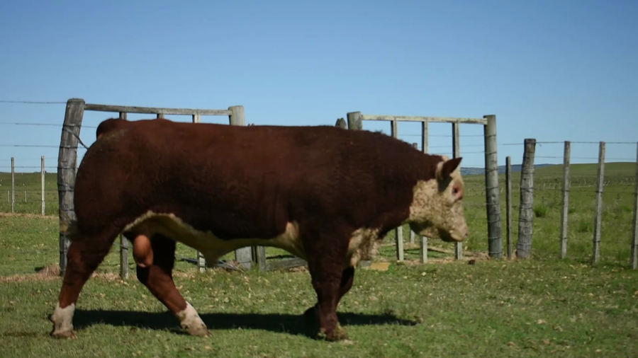 Lote "Valle Del Laurel" , RP 1068