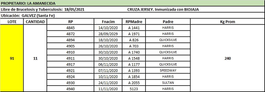 Lote Lote 91 La amanecida