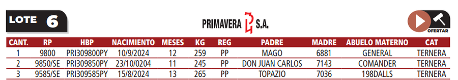 Lote LOTE 6