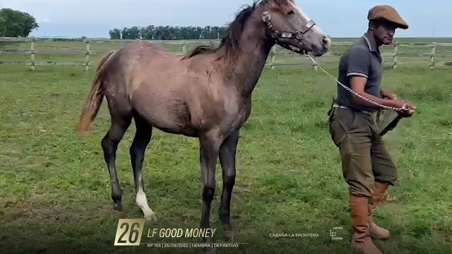 Lote Yeguarizos a remate en 6° Remate Especial de Velocidad, Montevideo
