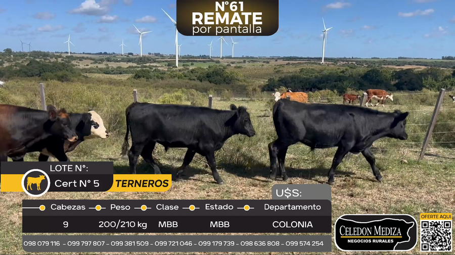 Lote 9 Terneros en Artilleros, Colonia
