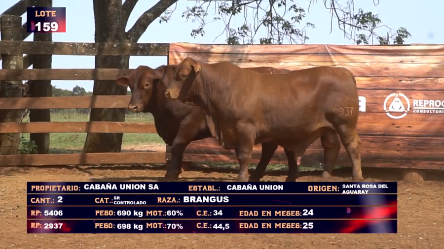 Lote CABAÑA UNION  SA- LOTE  159