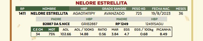 Lote LOTE 70