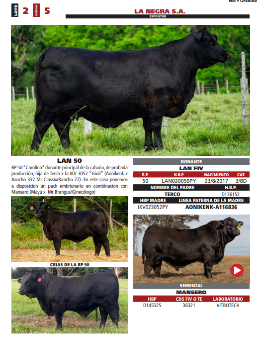 Lote LOTE 2