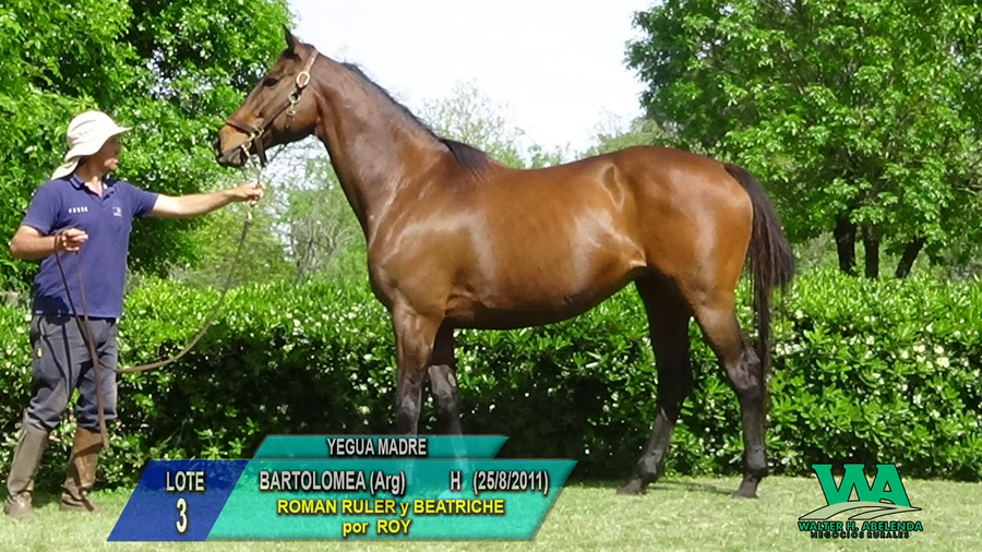 Lote BARTOLOMEA (Arg)
